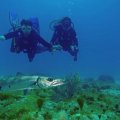 SCUBA DIVING